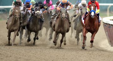 3 horses die in first two days of Belmont Park&apos;s fall season