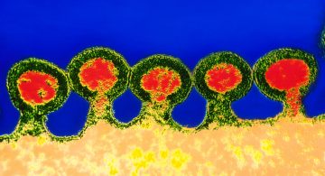 Chinese Scientists Try to Cure One Man's HIV With Crispr