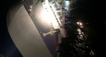 Georgia: Search on for 4 missing after cargo ship overturned