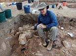 Immense Holy Land ruins may explain origins of the David v Goliath legend, archaeologist claims