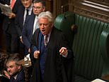 John Bercow is slammed for using Michael Gove's children in Commons rant