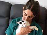 Nurse, 24, claims RSPCA put down two kittens without consent