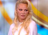 Pamela Anderson and Meghan McCain row on The View over Julian Assange