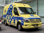 Pictured: Ambulance which took Michael Schumacher to Paris hospital