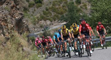 Spanish police seize 40 cannabis plants thanks to helicopter filming Vuelta a España cycling race