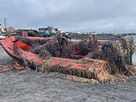 Unsinkable US Navy boat missing for a YEAR washes up 3,300 miles away