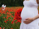 Women stressed in pregnancy 'are more likely to have children with a personality disorder' 