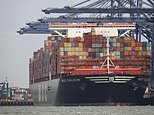 World's largest container ship bigger than four football pitches arrives in UK for first time 